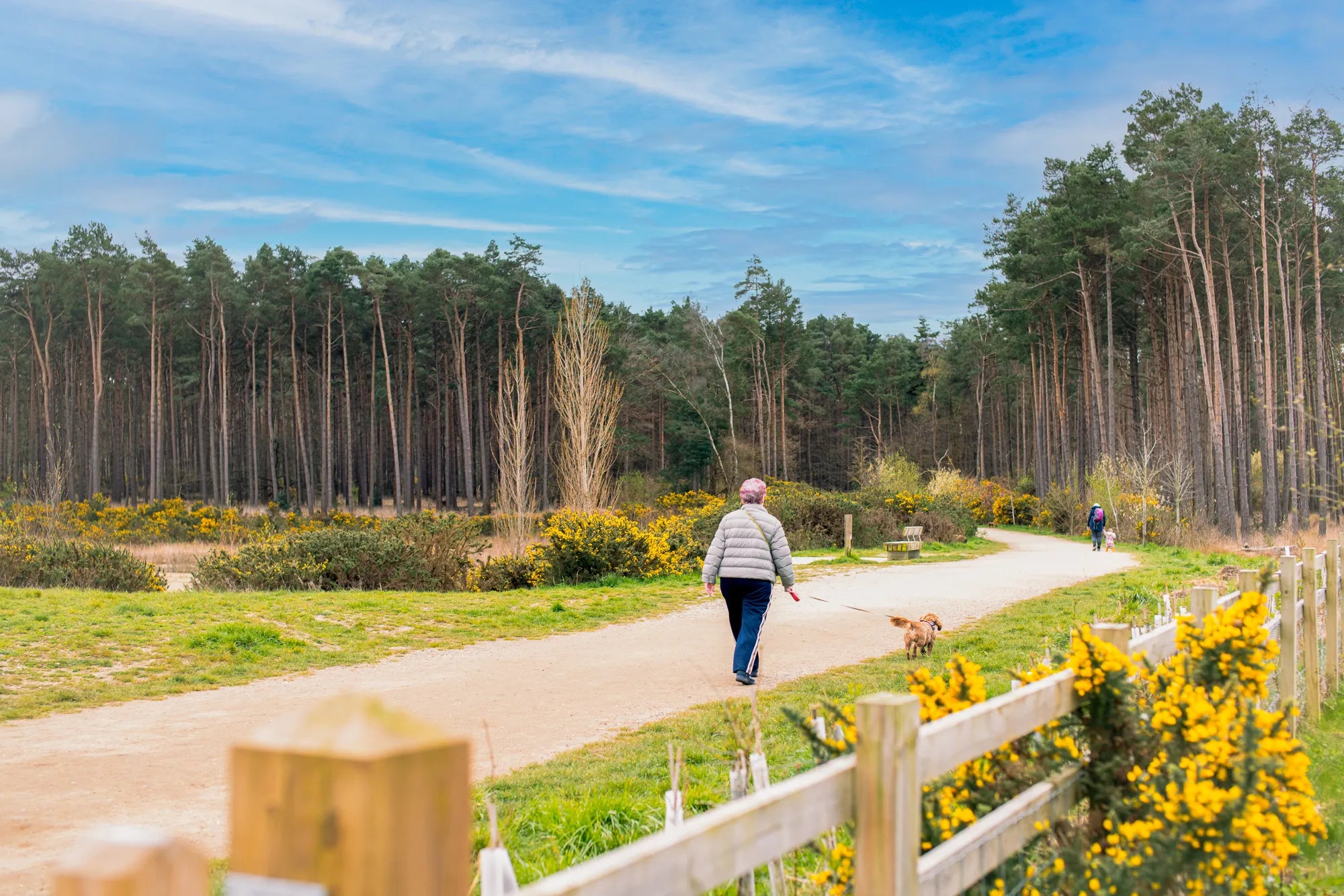 A Guide To Buckler s Park Forest Crowthorne a-guide-to-buckler-s-park-forest-crowthorne