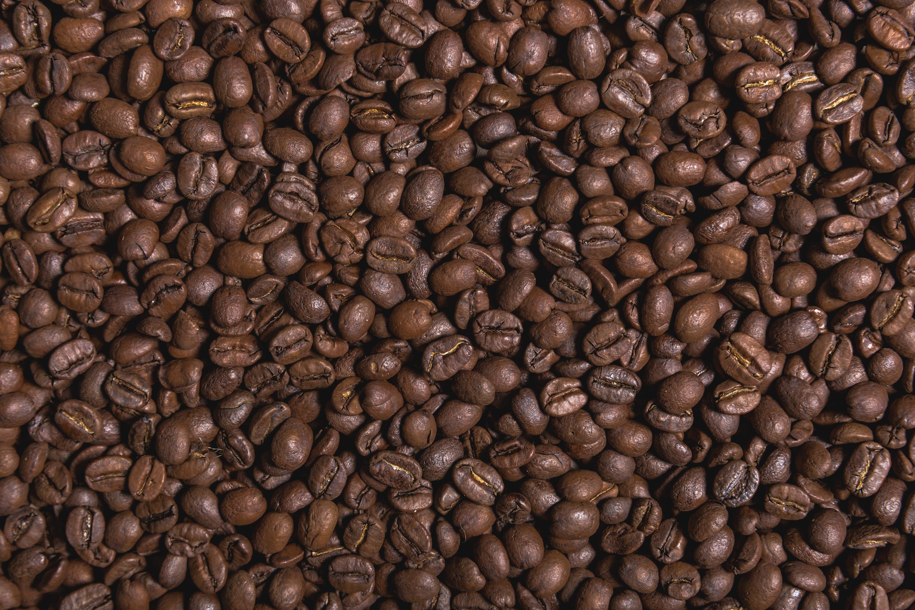 Freshly Roasted Coffee